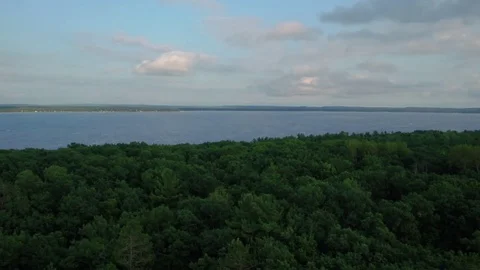 Drone Forest Stock Footage 82345570