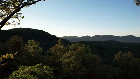 Drone Forest Stock Footage 221114441