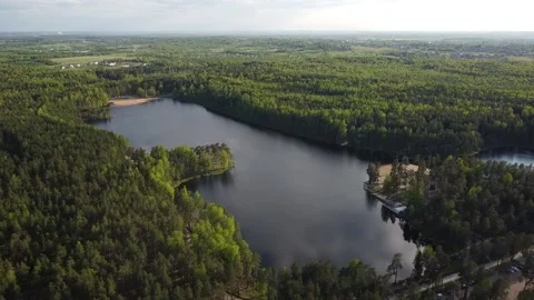 Drone Forest Lake with Gray-Blue Water Stock Footage 133126732