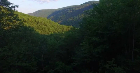 Drone - Forest Mountain Reveal Stock Footage 128935424