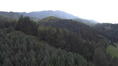Drone - Forest -  Mountains (4k) Stock Footage 112387087