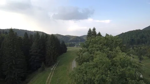 Drone - Forest - Mountains (4k) Stock Footage 112387150