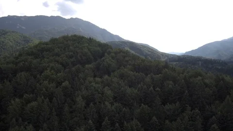 Drone - Forest - Mountains (4k) Stock Footage 112387207