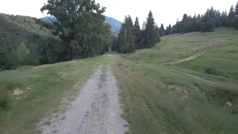 Drone - Forest - Mountains (4k) Stock Footage 112387220