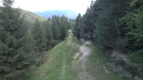Drone - Forest - Mountains (4k) Stock Footage 112387226