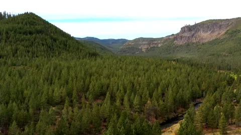 Drone Forest River 1 Vídeos de archivo 249848195