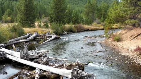 Drone Forest River 3 Video stock 249848931