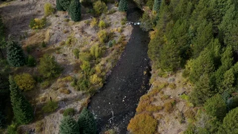 Drone Forest River 4 Stock Footage 249848930