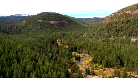 Drone Forest River 5 Stock Footage 249849309