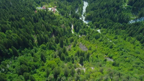 Drone forest river mountain trees aerial forward Stock Footage 346085889