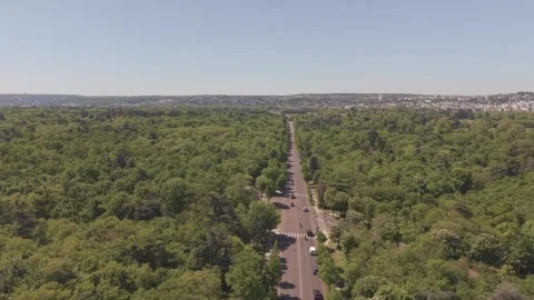 Drone Forward Flight Over Bois de Boulogne Avenue Stock Footage 338046162