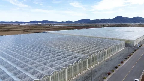 Drone Forward Flight Over Large Glass Greenhouse Complex 스톡 동영상 324725482