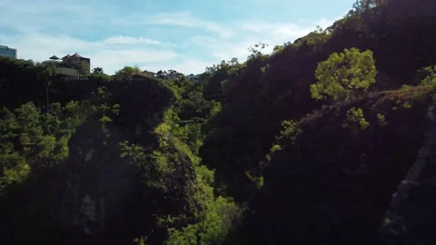 Drone forward flight over the trees between rocks Stock Footage 152350841