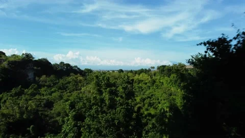Drone forward flight over the trees between rocks Stock Footage 152350873