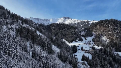 Drone Forward Flight Through Snow-Covered Mountains and Pine Forests Stock Footage 332064007