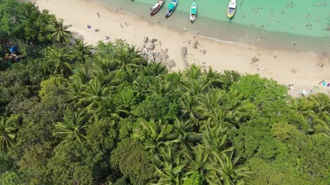 Drone Forward Flyover Jungle Road to Banana Beach Phuket - Horizon Reveal Vídeos de archivo 332115813