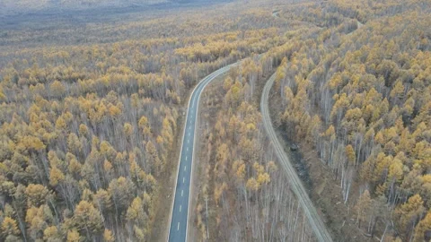 Drone Forward Motion Above Curving Forest Road Greater Khingan Mountains Stock Footage 330252202