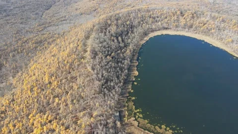 Drone Forward Move Toward Arxan Heavenly Lake Autumn Forest Video stock 330235882