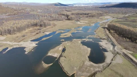 Drone Forward Push Over Autumn Wetland Forest Landscape Stock Footage 330252421