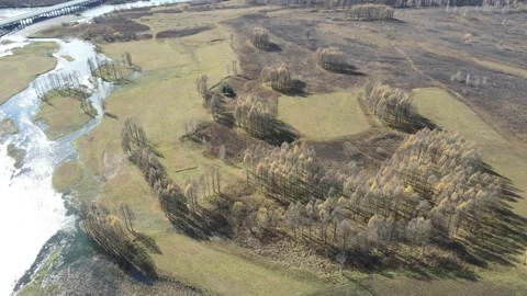 Drone Forward Push Over Wetland River and Forest Greater Khingan Mountains Stock Footage 330252405