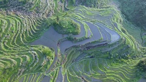 Drone Forward Push Toward Yunhe Rice Terraces Zhejiang China Stock Footage 331360184