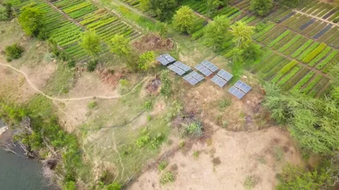 Drone Forward Reveal of Lakeside Solar Powered Agricultural Nursery and Gree Stock Footage 338065039