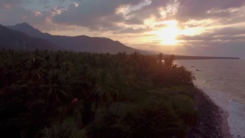 Drone Forward Shot Along Palm Coast at Golden Hour, Indonesia Stock-Footage 333610377