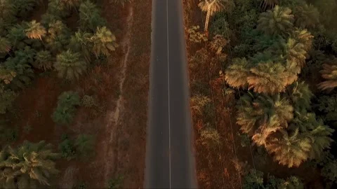 Drone forward shot over tropical road in Casamance, Senegal, during golden hour  Stock Footage 309913715