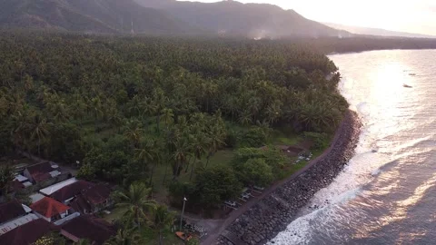 Drone Forward Shot Over Tropical Coastline with Palm Forest, Indonesia Stock-Footage 333610392