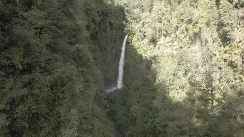 Drone forward shot of a waterfall surrounded by green nature Stock Footage 249894444