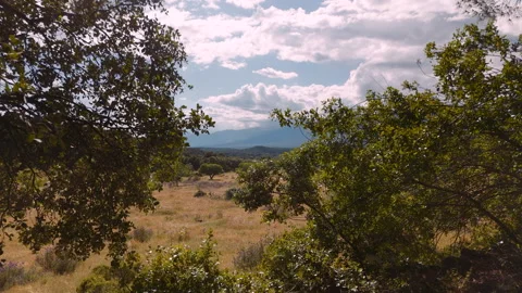 Drone Forward Through Tree Frame to Sierra de Gredos Vista, Spain, 4K Stock-Footage 335087658
