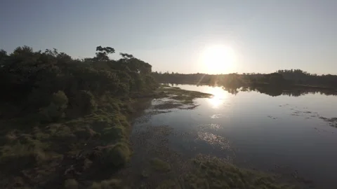 Drone FPV Landscape of Parque da Cidade, Jundiaí, Brazil. 4K 60fps ProRes Video stock 316915510