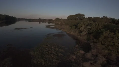 Drone FPV Landscape of Parque da Cidade, Jundiaí, Brazil. 4K 60fps ProRes Video stock 316915830