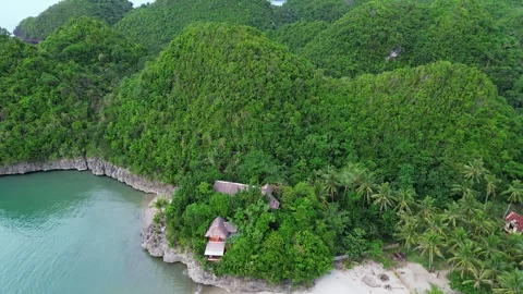 Drone fpv tilt down from green forested hills to reveal a hidden beach 動画素材 345068647