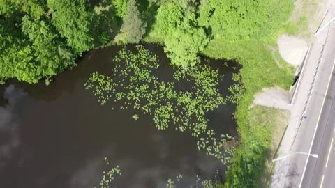 Drone Freeway Lake Forest Stock Footage 133822688