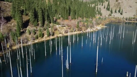 Drone Glide Over Sunken Trees In Alpine Lake. Kazakhstan, Lake Kaindy Stock Footage 332778903