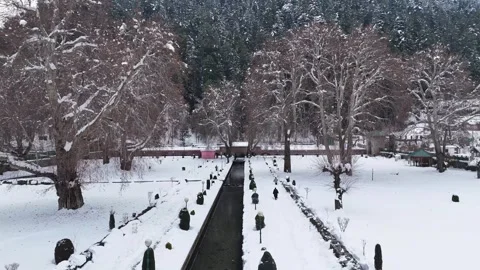 Drone glide over Verinag Park showcasing winter's skeletal trees and flowing Stock Footage 311129508