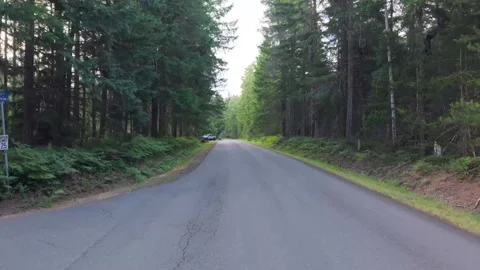 Drone Glide Past Side Roads in a Washington Forest Neighborhood Stock Footage 345888092