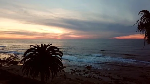 Drone glides forward between palm trees at 40 feet to reveal beach sunset 库存影片 84949921
