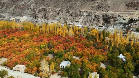 Drone glides over Himalayan landscapes painted in fall shades. Stock Footage 310785706