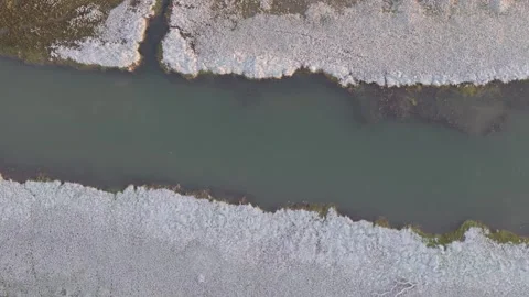A Drone Glides Over Marsh Estuary With Ducks Geese In Water Stock Footage 301091426