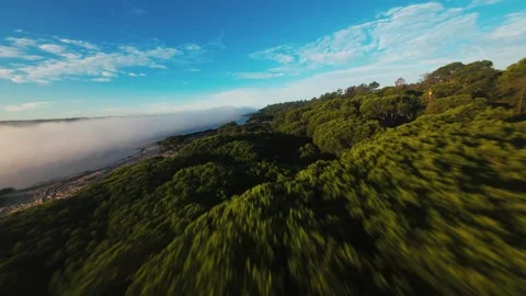 Drone glides over misty forest edge Stock Footage 340903814