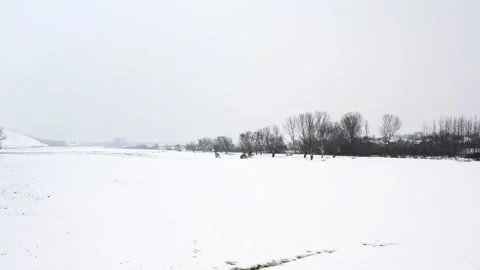 Drone glides over untouched snow covering plain land in Titel, Serbia 動画素材 263359386