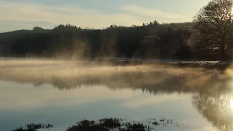 Drone Glides Towards Two Ducks On An Estuary In Winter At Sunrise In The Mist Stock Footage 301092643