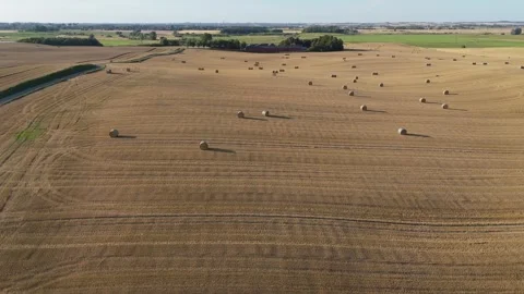 Drone gliding above harvested fields with scattered hay rolls in twilight Stock Footage 341015788