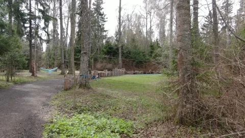 Drone gliding low over forest pathway Vidéo 330014117