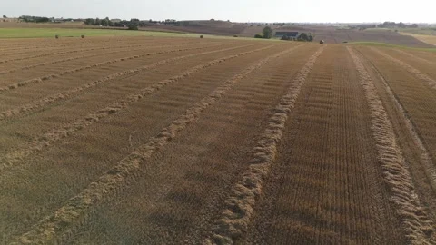 Drone gliding over harvested fields with graceful summer evening lines Stock Footage 341017509