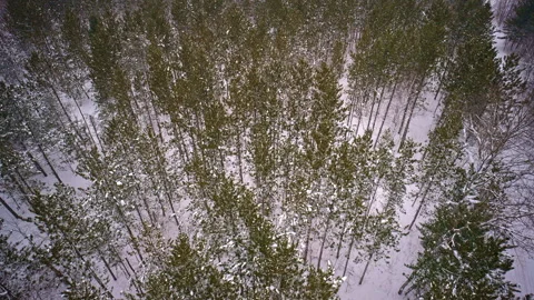 Drone gliding over icy terrain in the Upper Peninsula after winter weather Vidéo 334765073