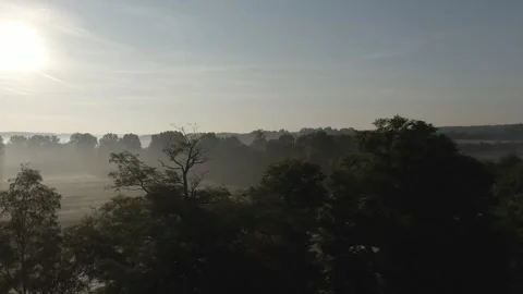 Drone Gliding Over Misty Forest Canopy, Warm Low Morning Sun, Aerial Shot Vídeo Stock 341323701