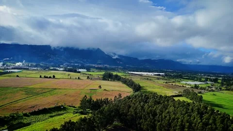 Drone gliding over open plains with trees and mountain horizon Stock Footage 316113913